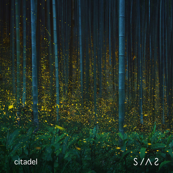 New Single “Citadel” Available Today!