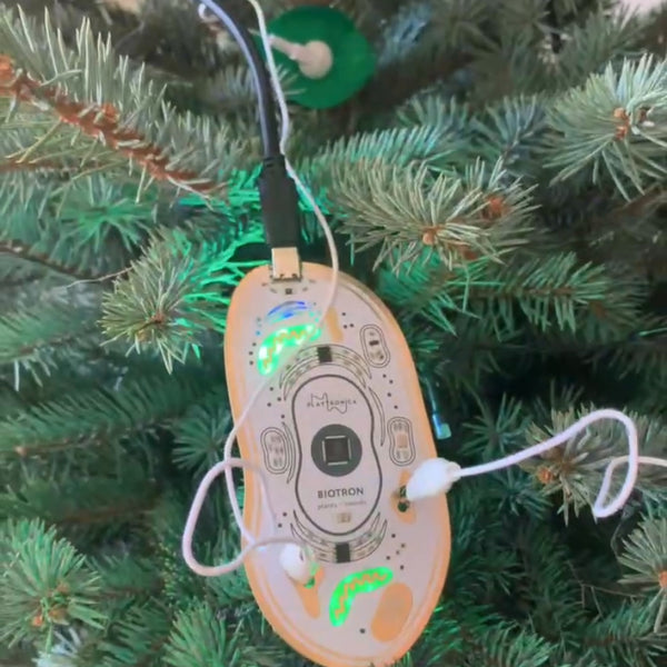 SIAS X Playtronica's Biotron